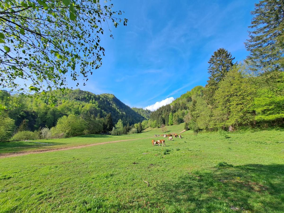 Greenriver Apartment Spodnje Gorje Εξωτερικό φωτογραφία